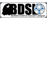 Buffalo District Soccer League (BDSL) Logo
