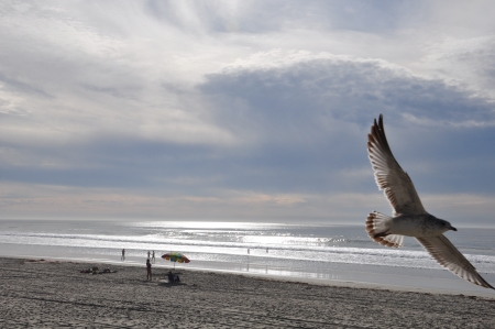 mission beach, top beach area destination