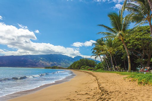 Sandy Beach With Palm Trees And Mountain Background