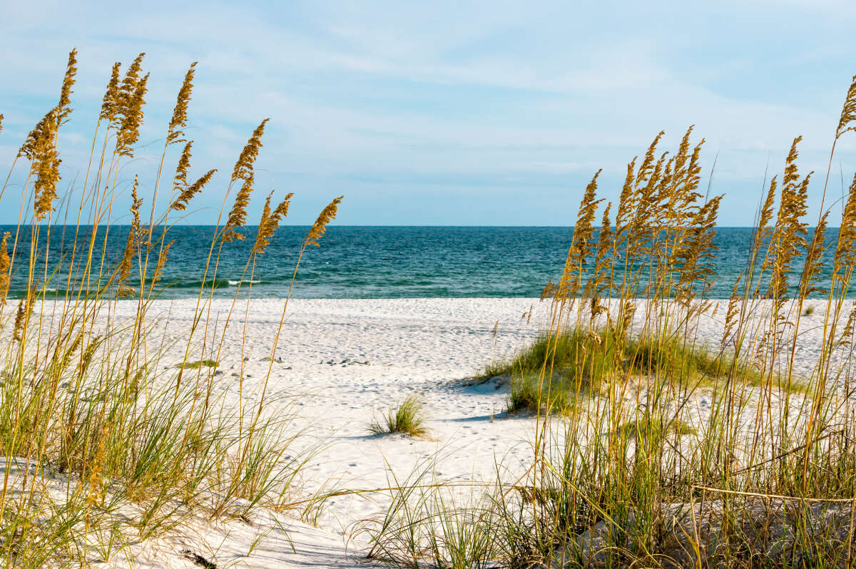 Best Alabama Travel Guides Gulf Coast.