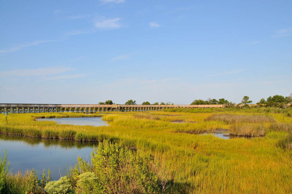 Assateague Seashore Nature Trail and Boardwalk Ocean City Maryland