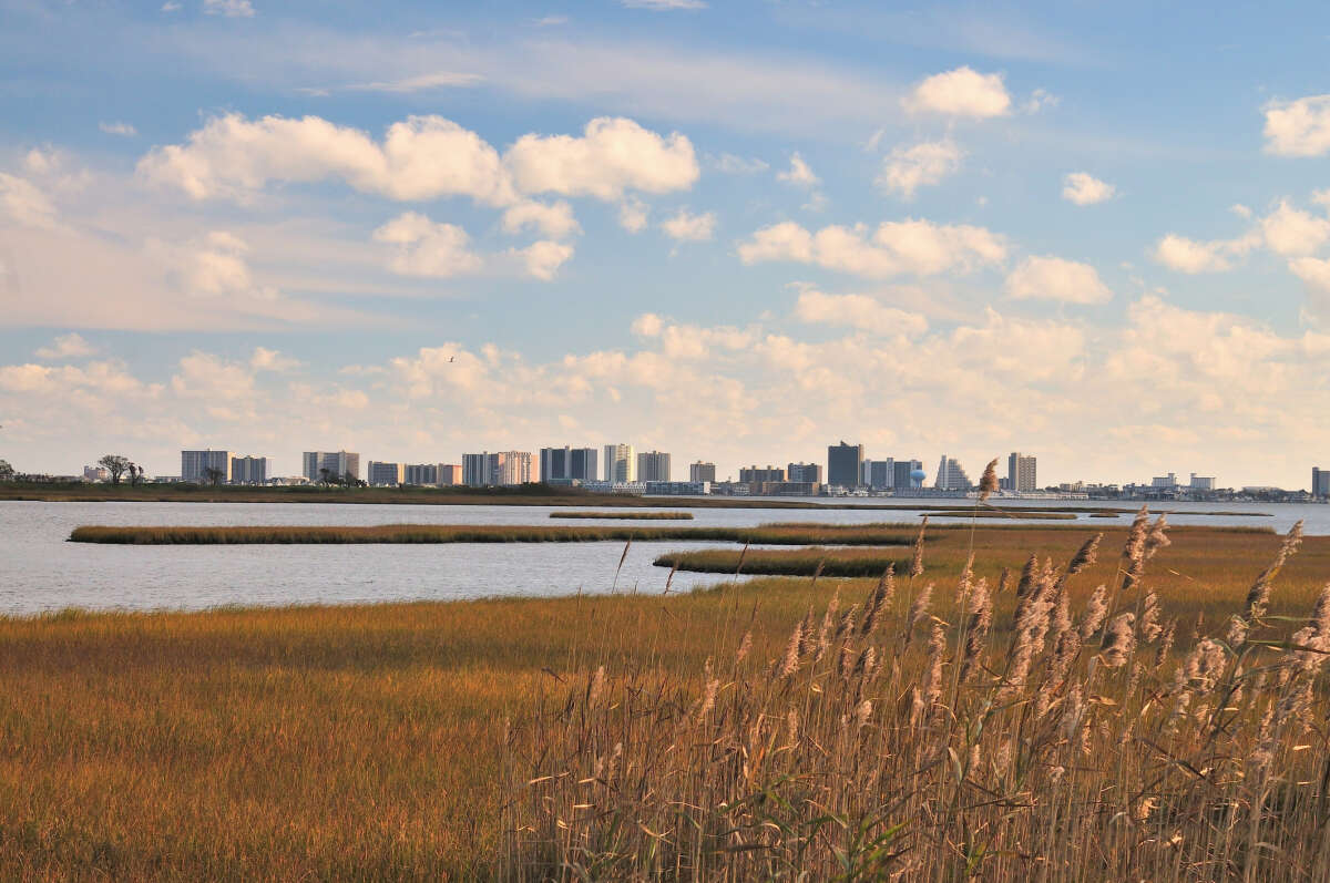 Assawoman Bay at St Martins Neck looking out at North Ocean City, MD