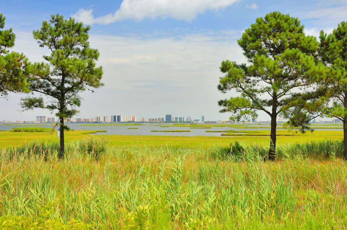 Assawoman Bay View of the Ocean City Maryland Skyline