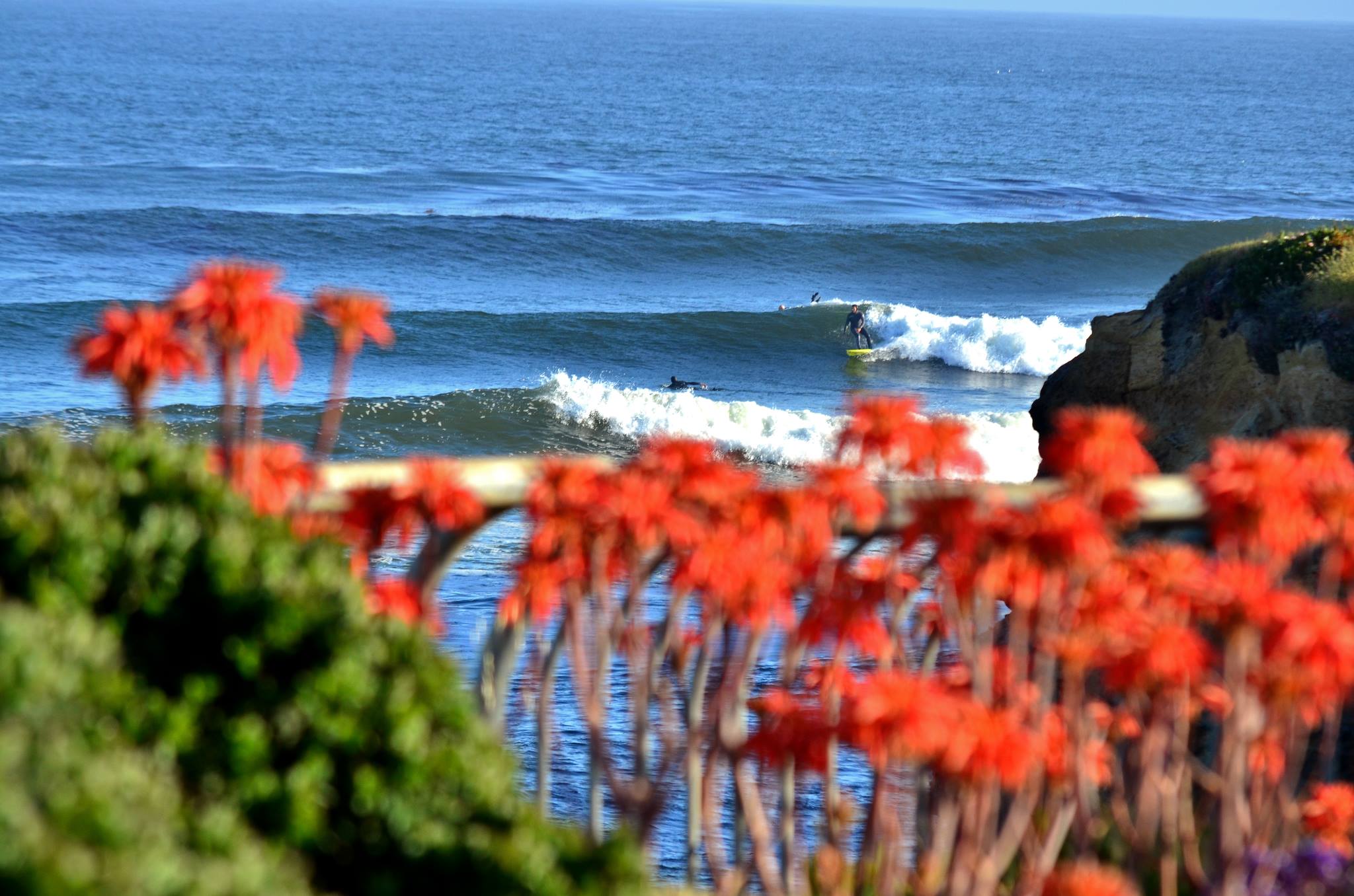 Beachnest Vacation Rentals Property Management Company Monterey Bay Area Santa Cruz California Surfing