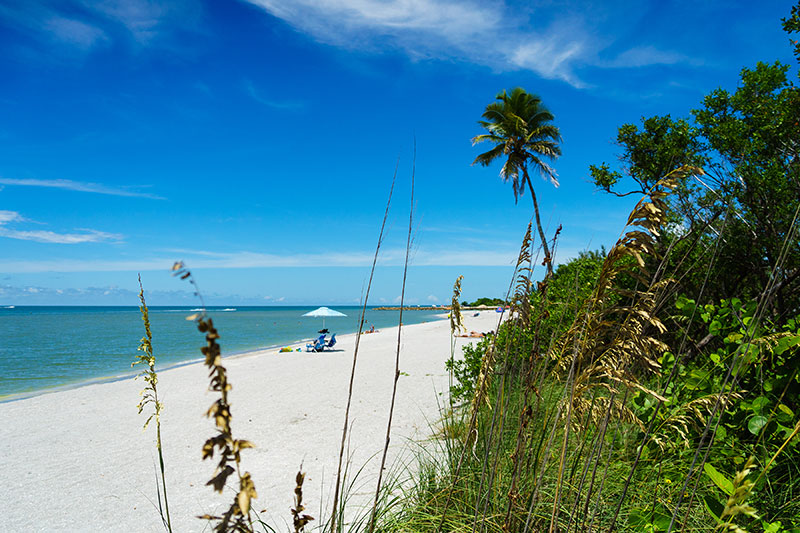 Captiva Island Florida Lee Island Coast Things To Do