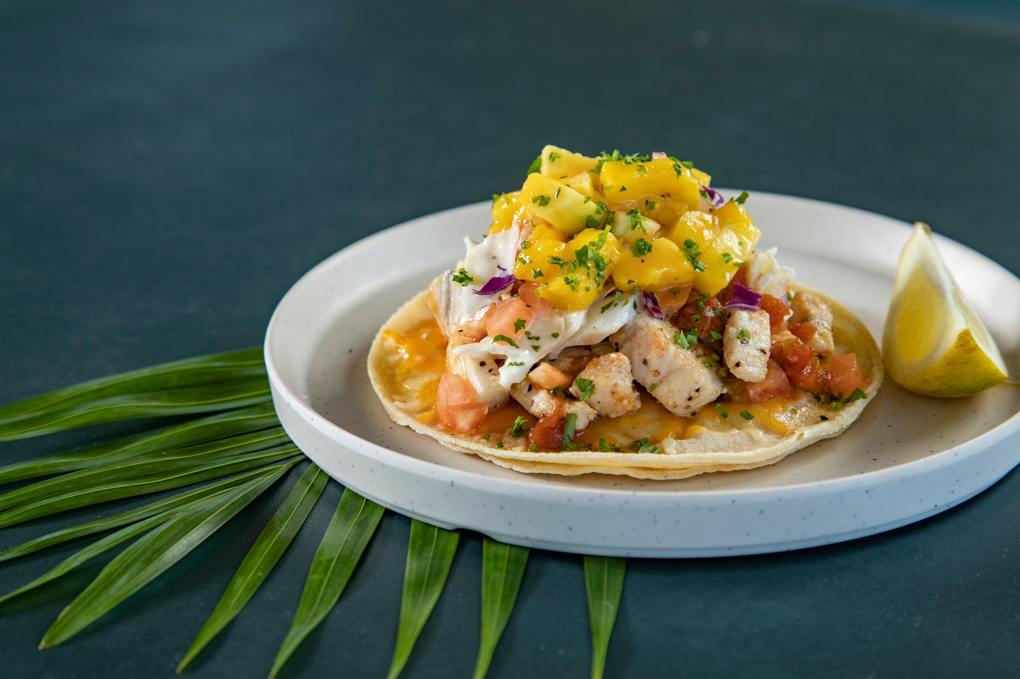 Famous Fish Tacos at Coconuts Fish Cafe