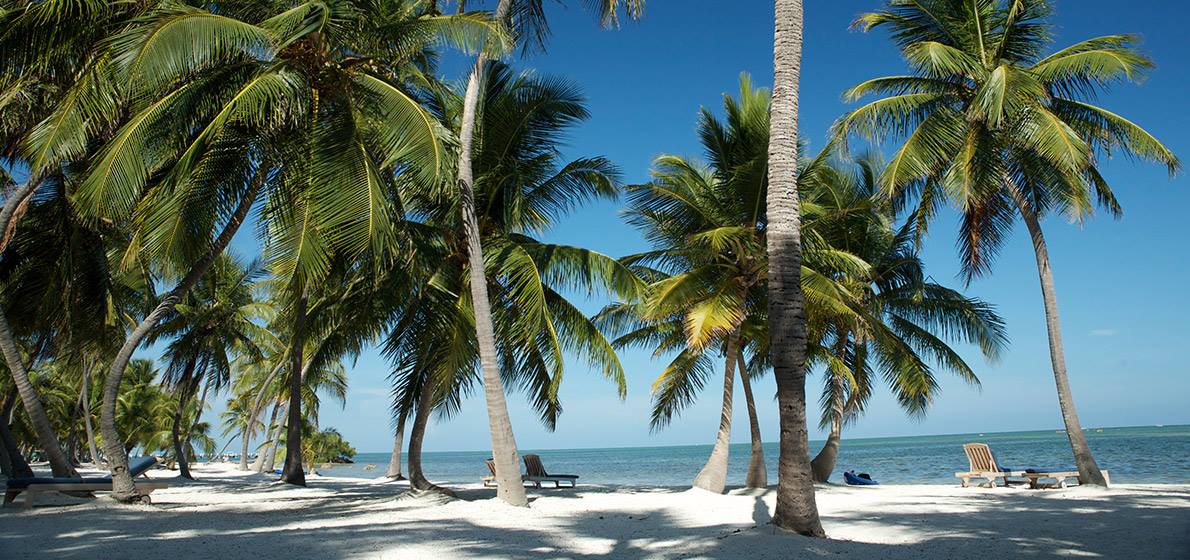 Florida Keys Realty Beaches in the Lower Florida Keys