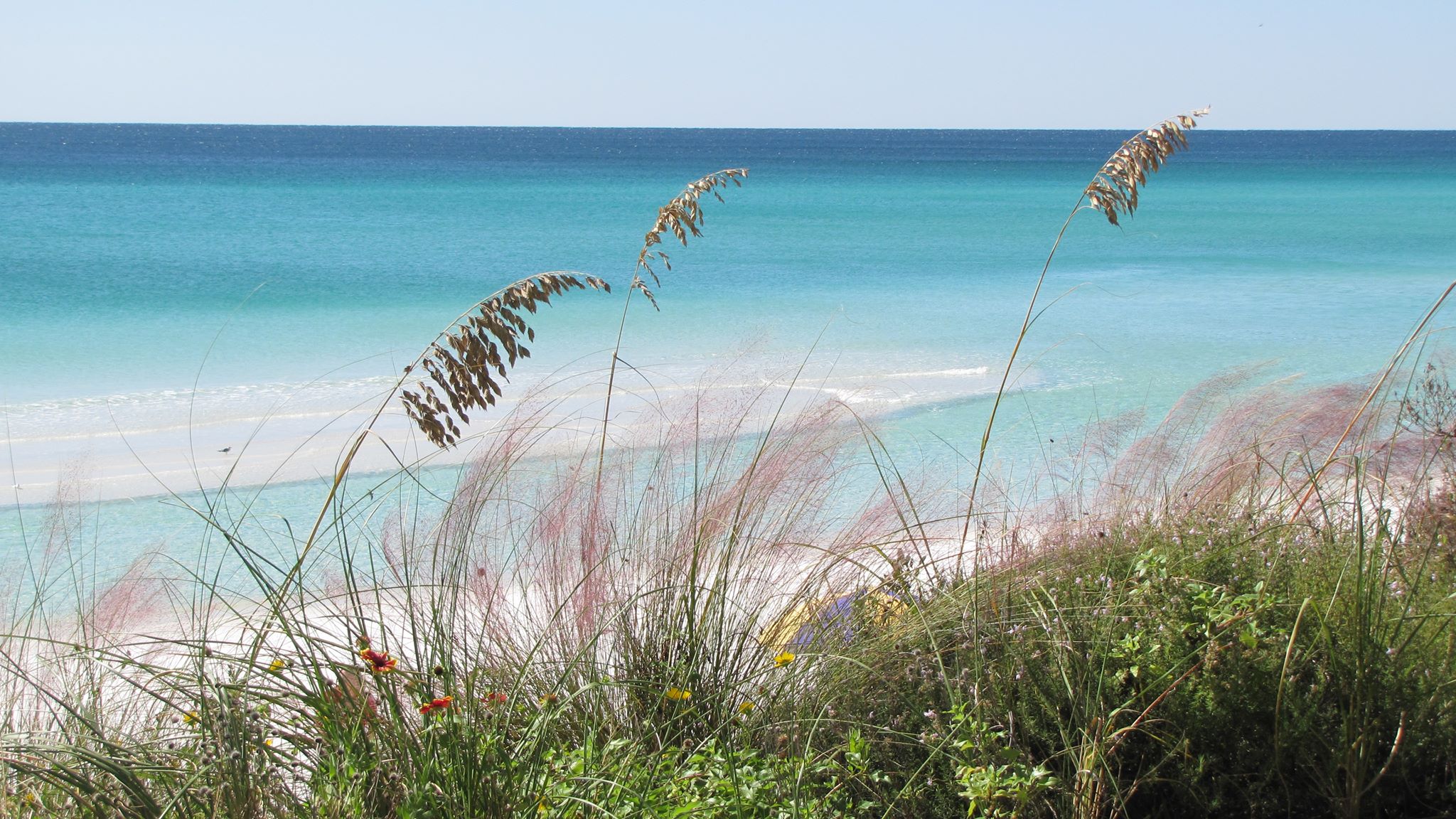 Garrett Realty Services Beaches South Walton 30A Emerald Coast Seagrove Beach Florida