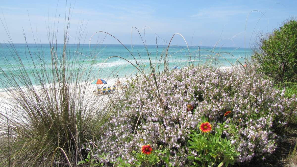 Beaches of South Walton Florida