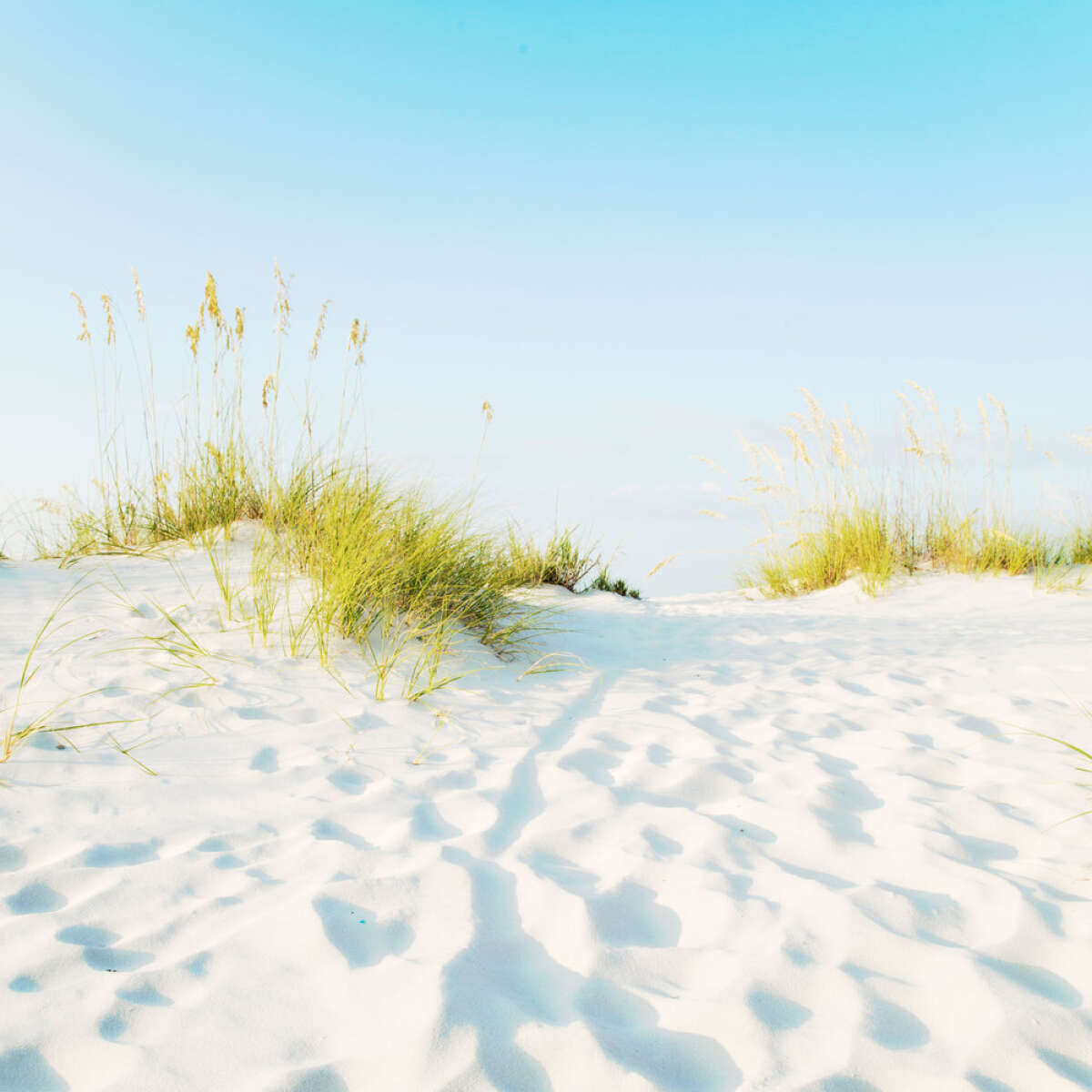 Gulf Shores Beach Alabama White Sand