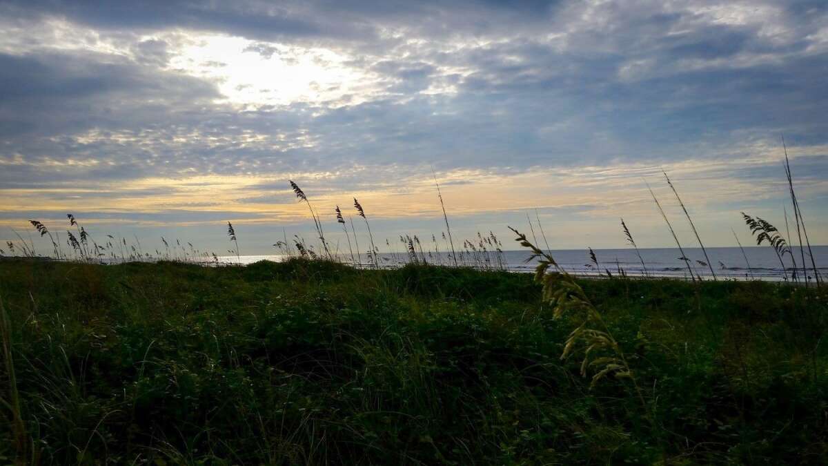 Isle of Palms Charleston Beach Area South Carolina East Island Rentals