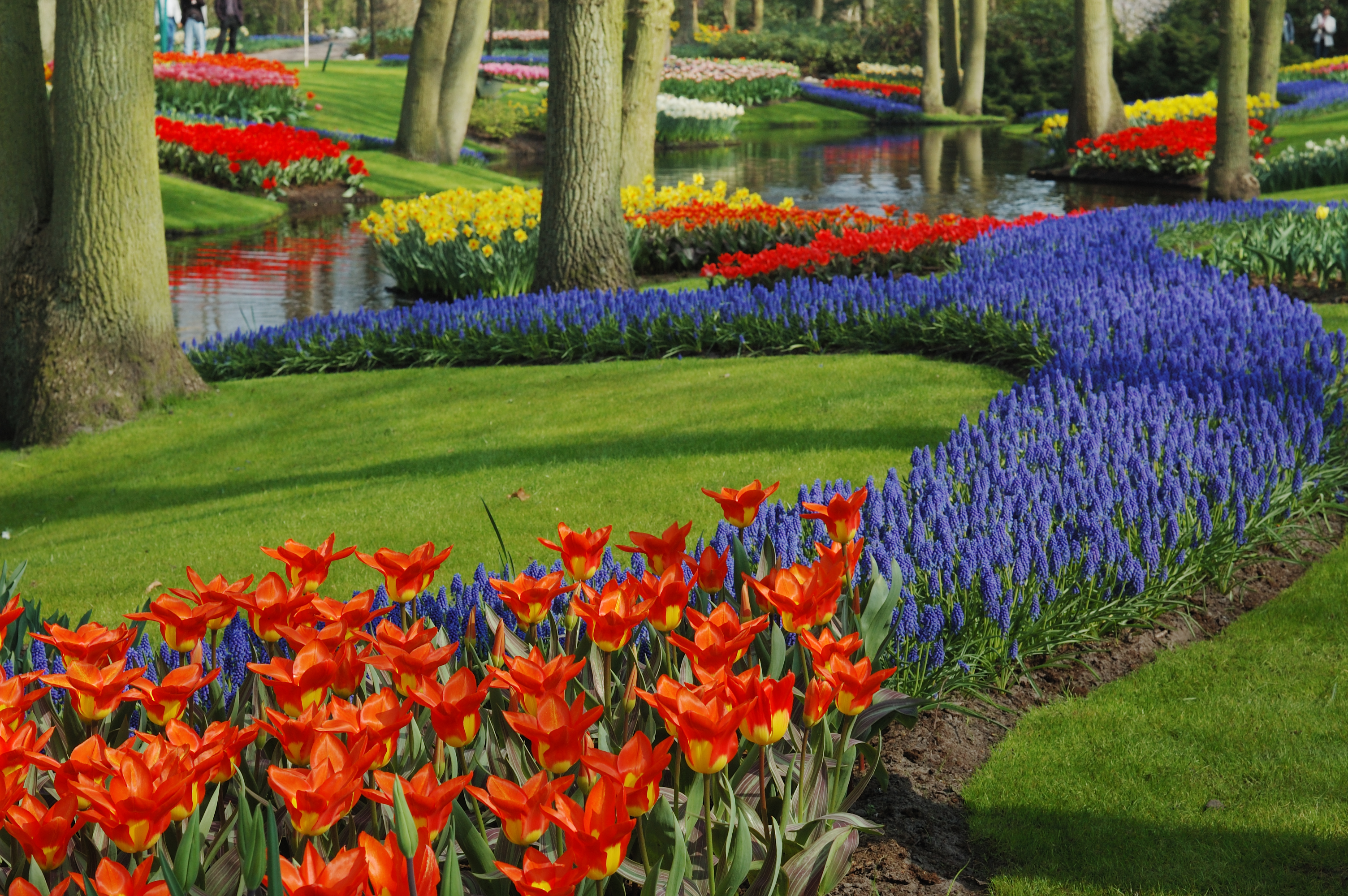 Keukenhof Gardens Netherlands | A Dutch Masterpiece