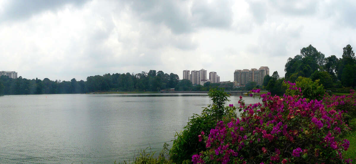 MacRitchie Reservoir in Singapore