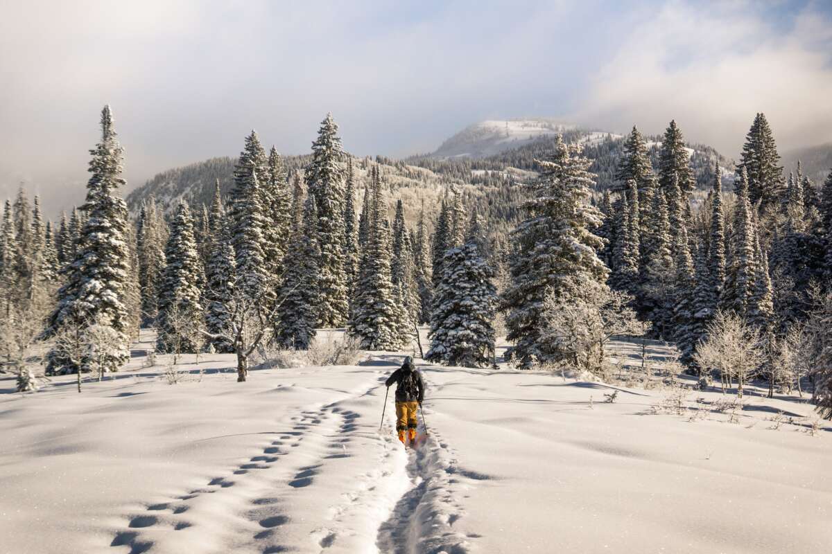 Mt Baker Lodging Mount Baker Washington Cross Country Skiing.