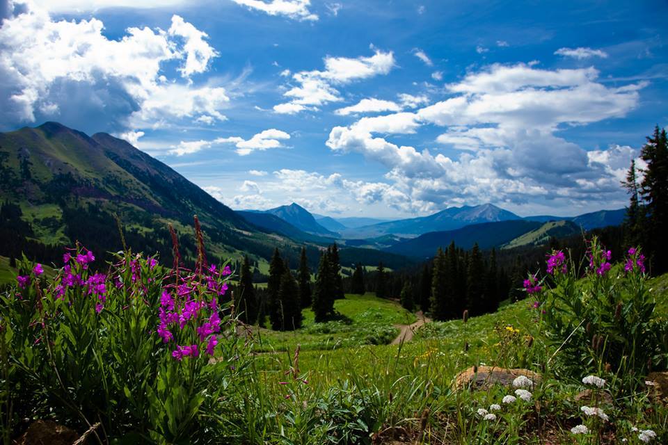 Peak Property Management Sales Crested Butte Colorado