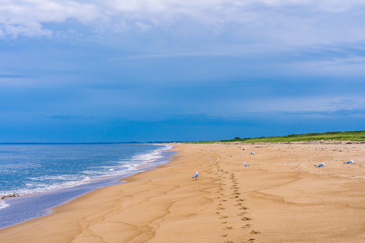 Plum Island Beach Massachusetts Travel Destination Guide