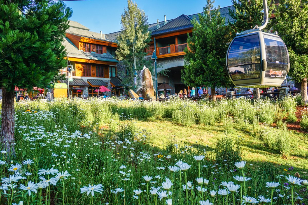 Pyramid Peak Properties Real Estate Vacation Rental Management Company South Lake Tahoe Fallen Leaf Lake Kirkwood Area California.