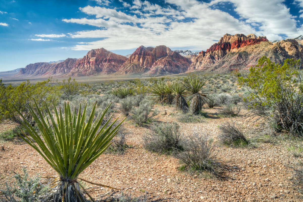 Red Rock Canyon National Conservation in the Las Vegas Area of Nevada