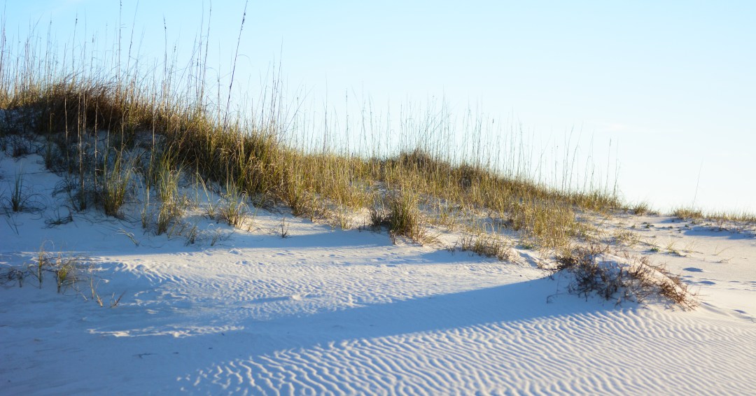 Reed-Real-Estate-Gulf-Shore-Beach-Dune-Alabama.