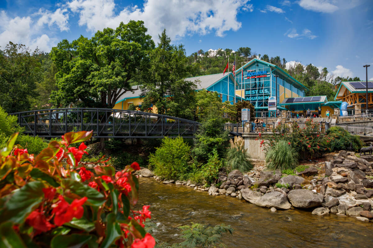 Ripley's Aquarium of the Smokies in Gatlinburg