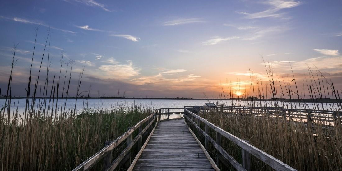 Sanctuary in Sandbridge Beach Area Virginia