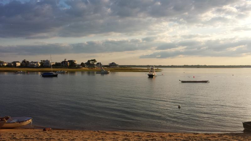 Seas the Day Realty Plum Island Beach Plum Island Massachusetts