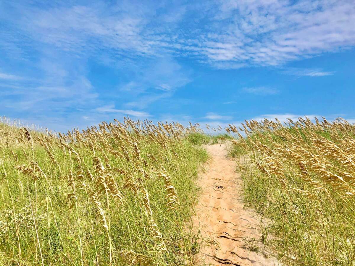 Southern Shores Realty of the Southern Shores Outer Banks Beach Vacation