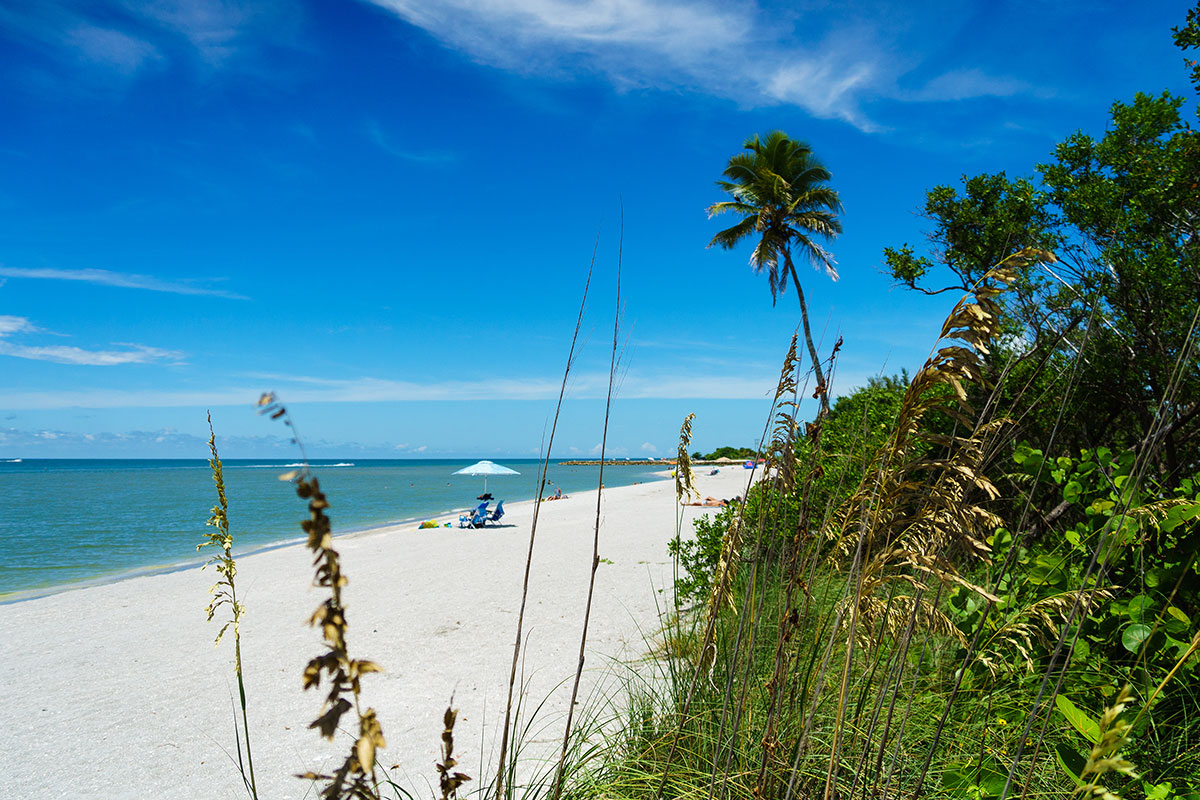 Things To Do Captiva Island Gulf Coast Florida.