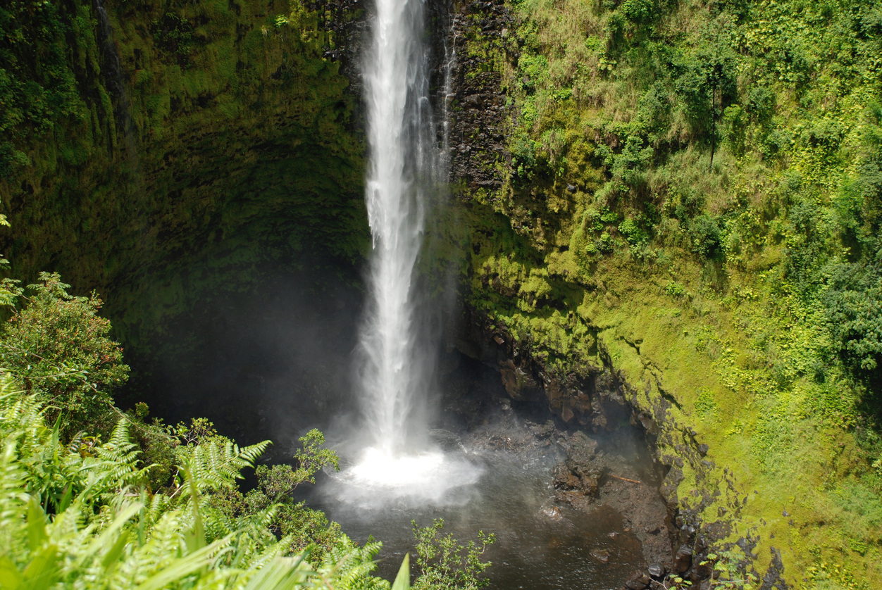 Things To Do Kohala Coast Akaka Falls Big Island Hawaii