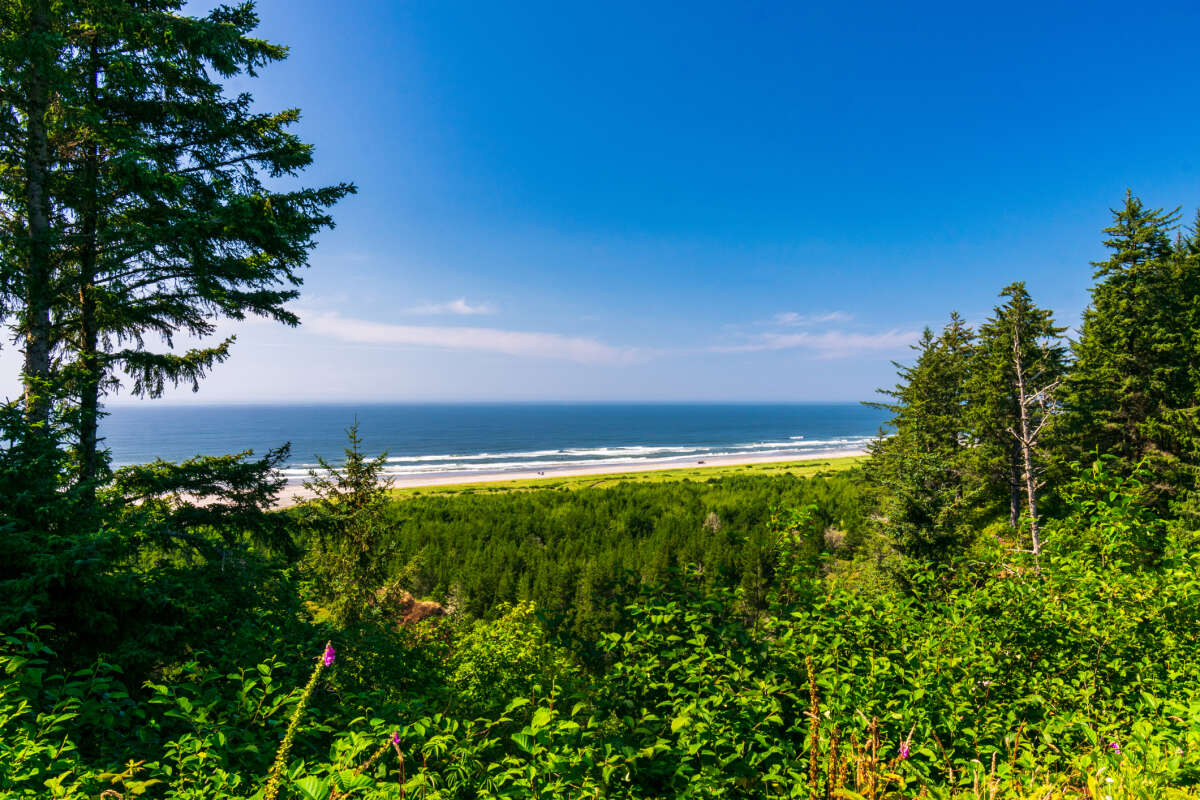 Long Beach Peninsula Washington State Coastline