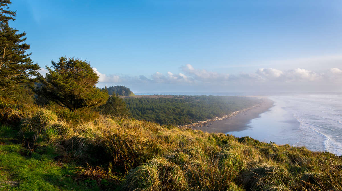 Things To Do On Long Beach Peninsula Washington State Travel Guide