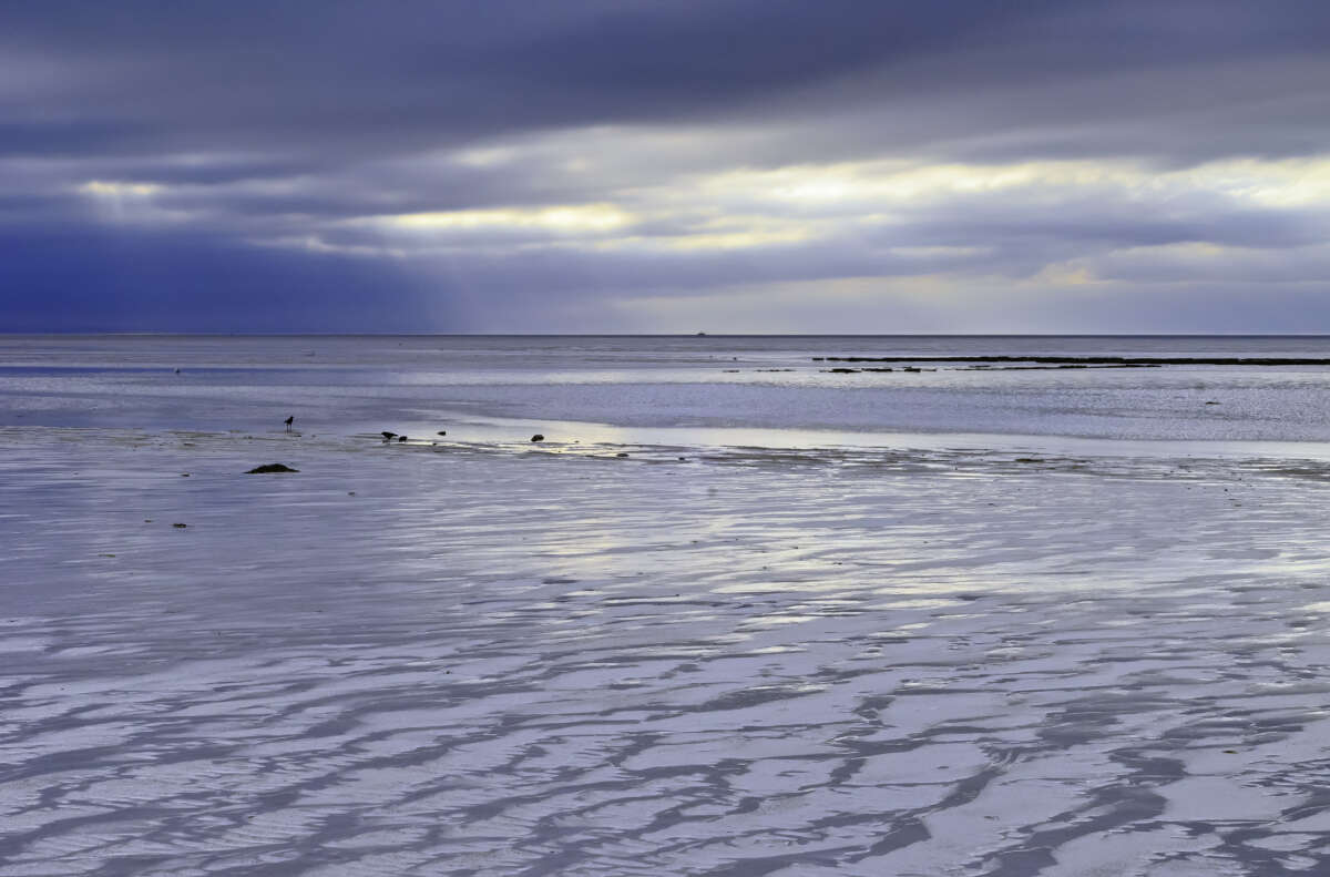 Tidal Flats at Sunset in Brewster Massachusetts