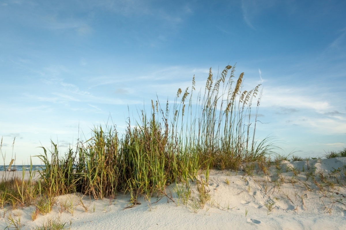 Things To Do in the Hilton Head Island Area of South Carolina