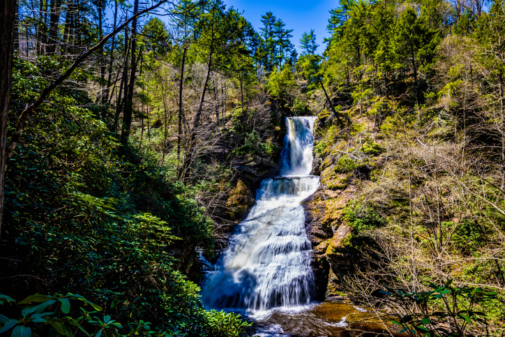 Dingmans Falls Towamensing Trails Poconos