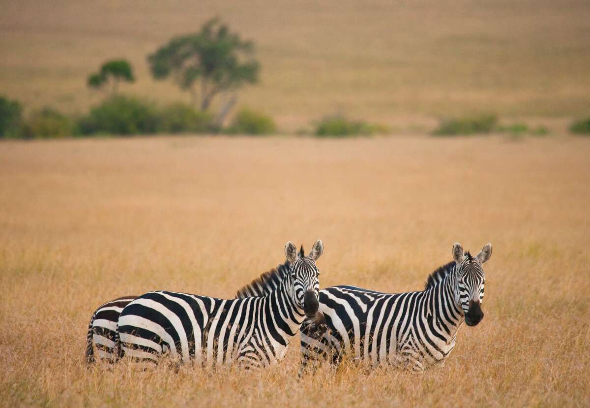 kilimanjaro tours top 3 places to visit