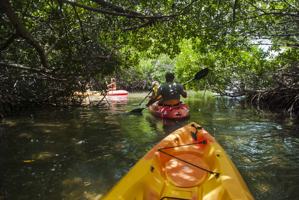 Anna Maria Island Florida Paddleboarding and kayaking