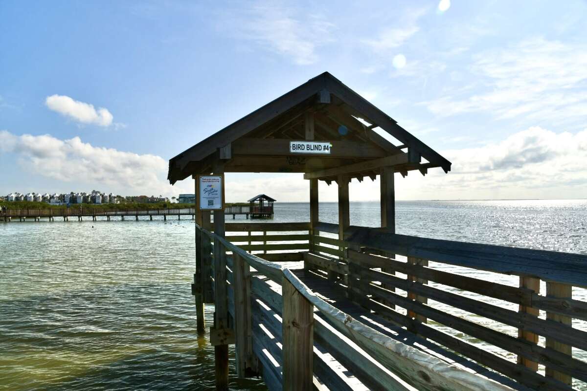 The Laguna Madre Bird Blind | Mother Lagoon in South Padre Island