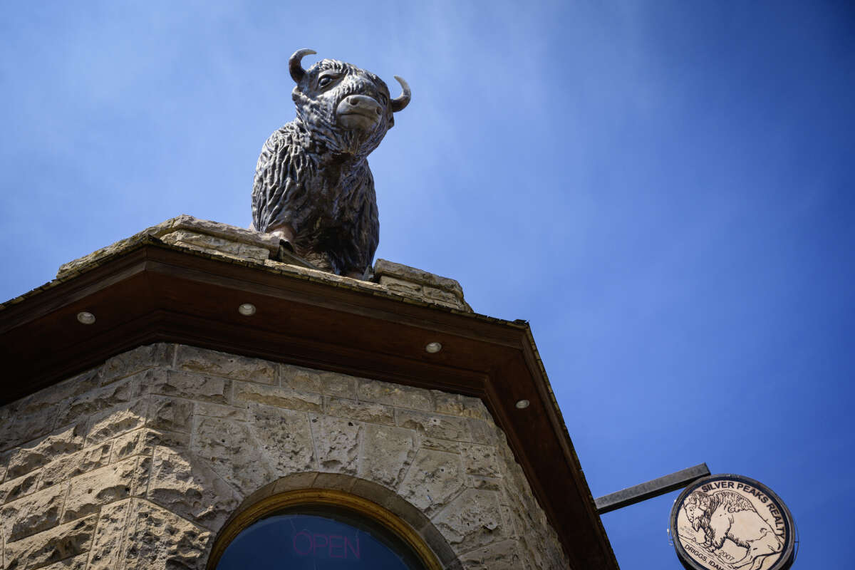 Bison Statue Welcomes Visitors to Driggs Idaho