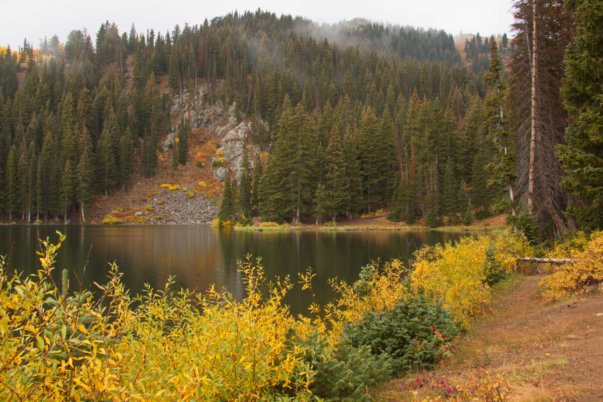 Bloods Lake near Guardsman Pass in Wasatch Utah