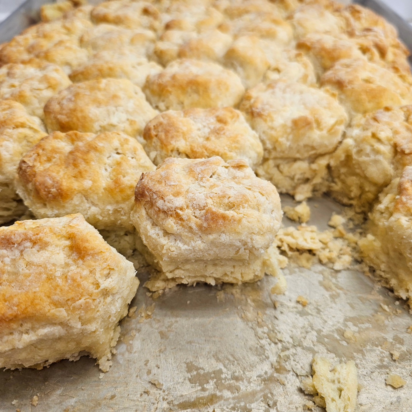 Buttermilk Biscuits at the Lighthouse Bakery on Dauphin Island, AL