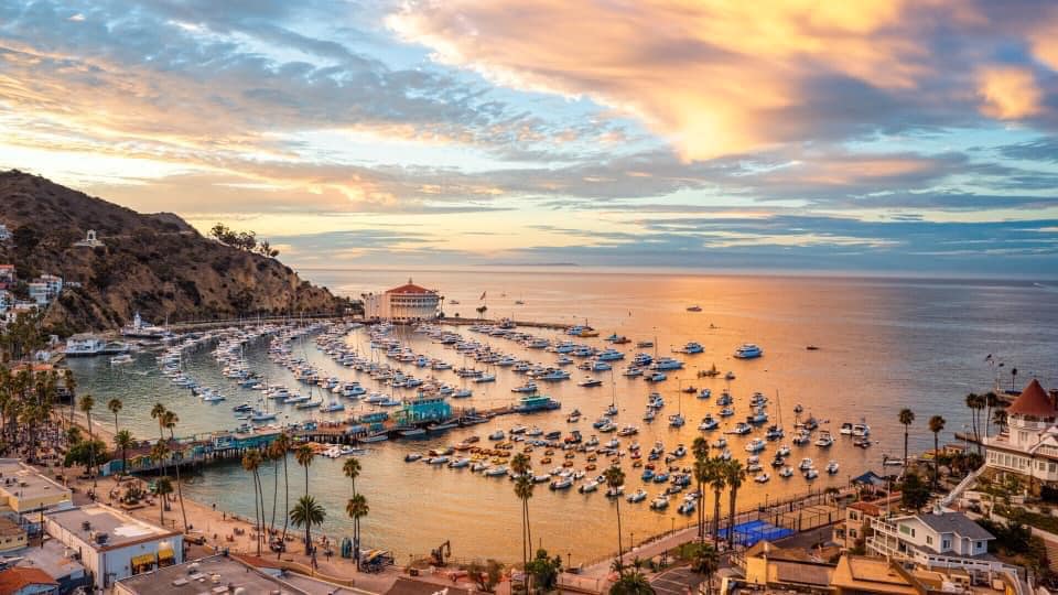 Catalina island Views of Sunset - Bay and Boat Docks