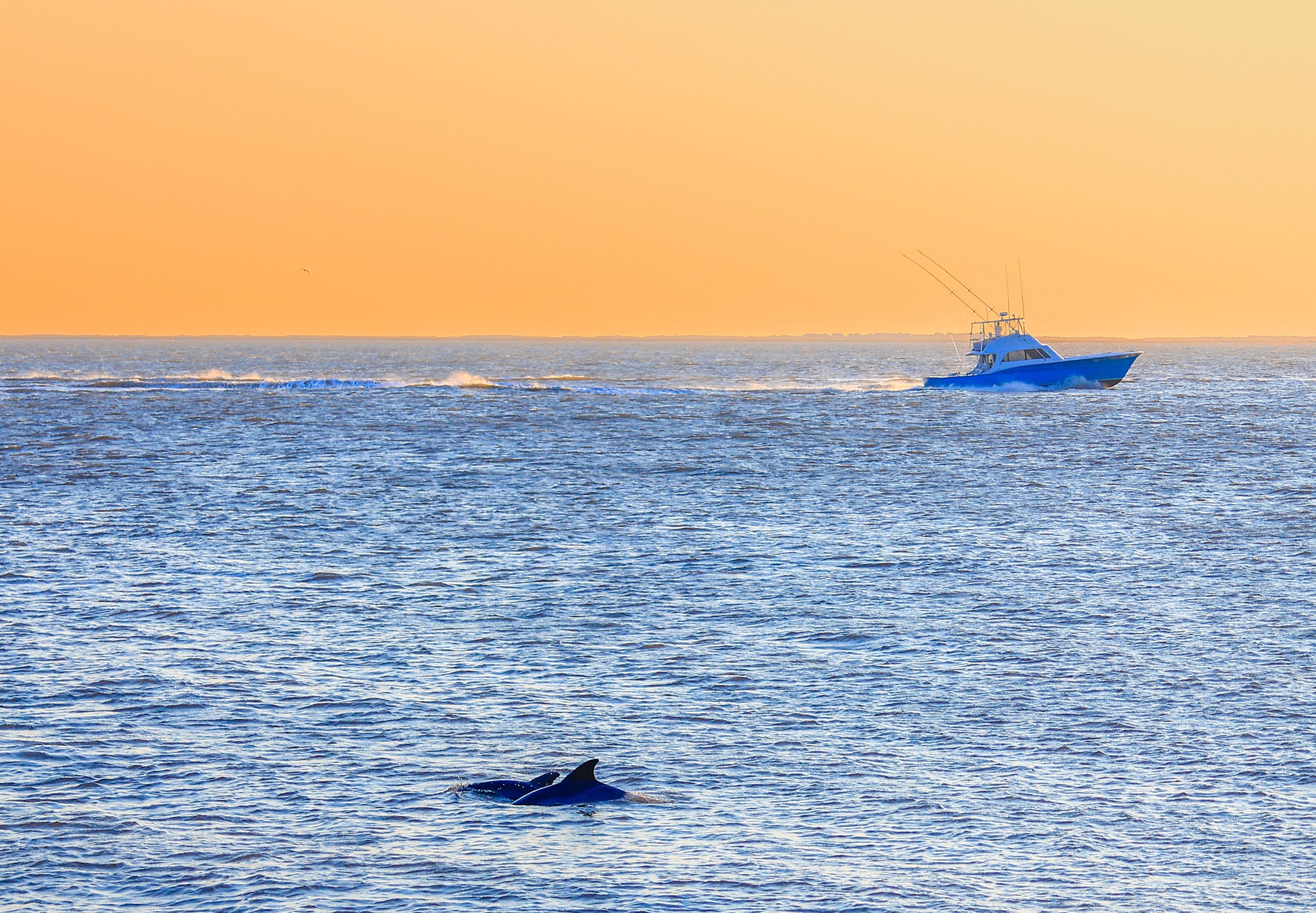 Coastal NC Oak Island near Fort Caswell Beach