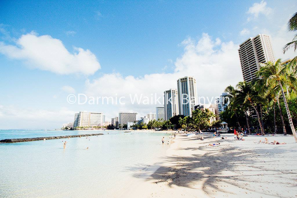 Darmic Waikiki Banyan Manager Profile Find Rentals