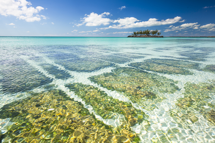 Gaulding Cay Rock along Eleuthera Beach Bahamas Caribbean