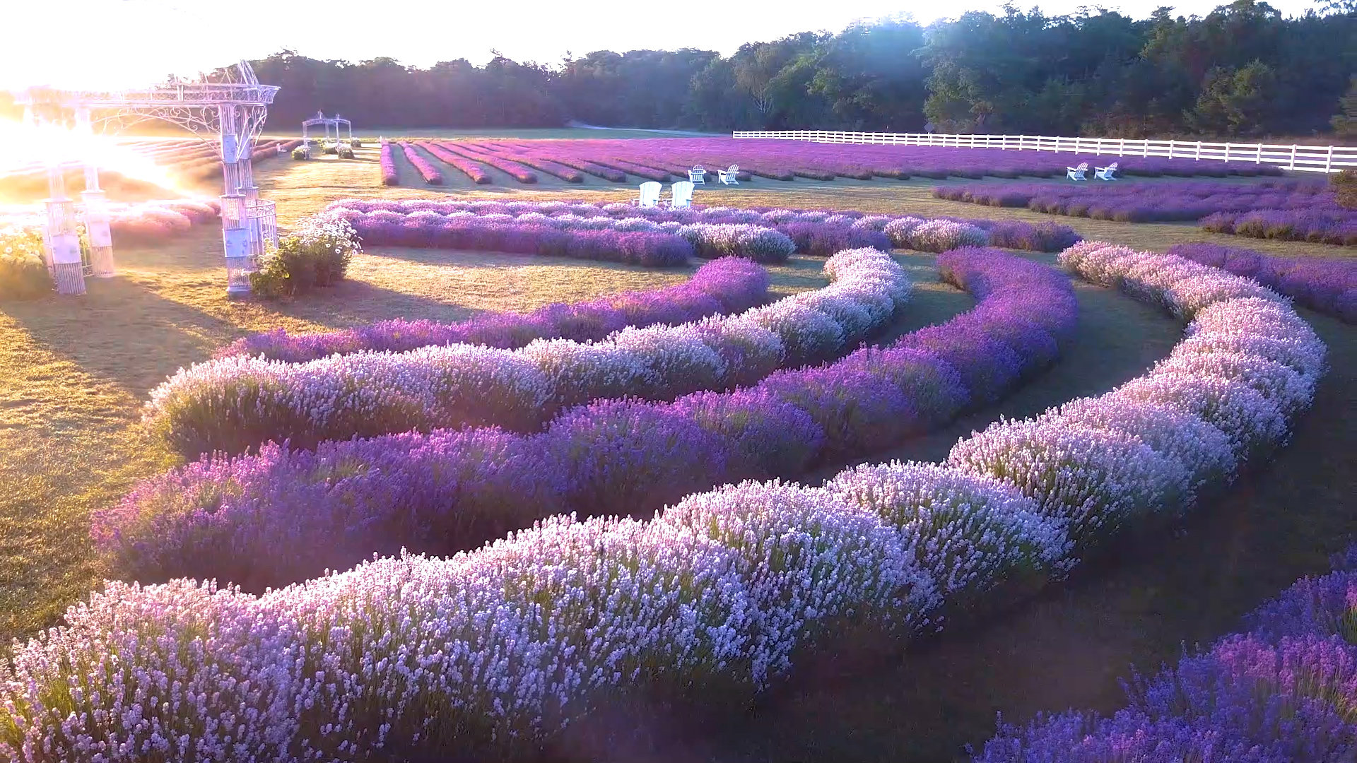 Fragrant Isle Lavender Farm and Shop on Washington Island Wisconsin