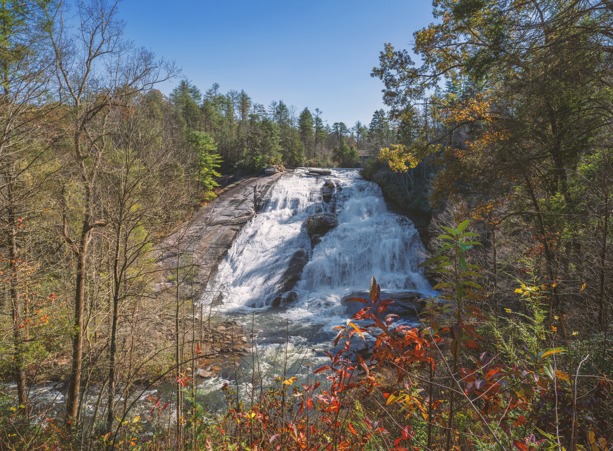 High Falls Dupont State Forest North Carolina