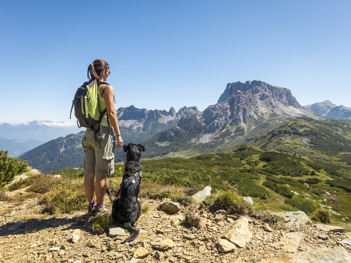 Hiking Tips With Your Dog