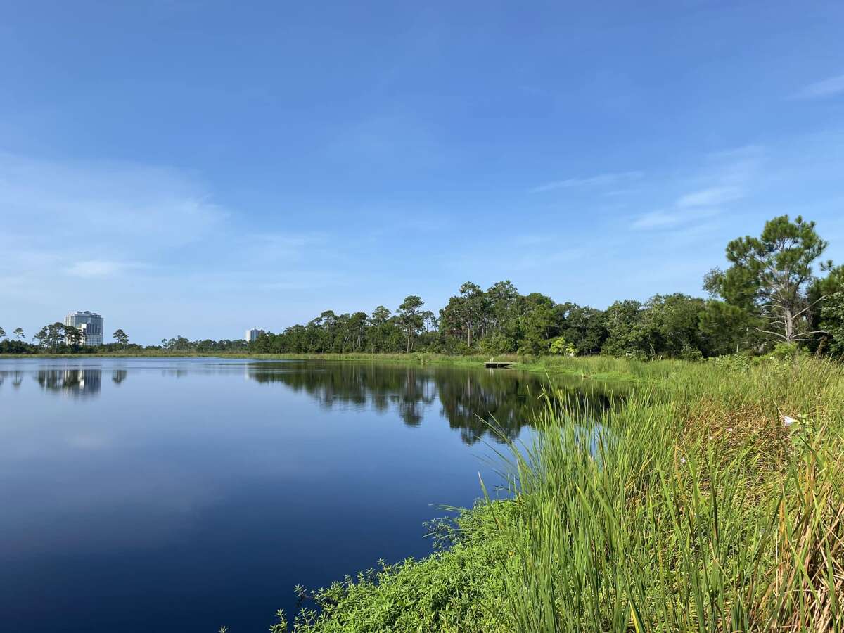 Hugh S Branyon Backcountry Trail Orange Beach Alabama