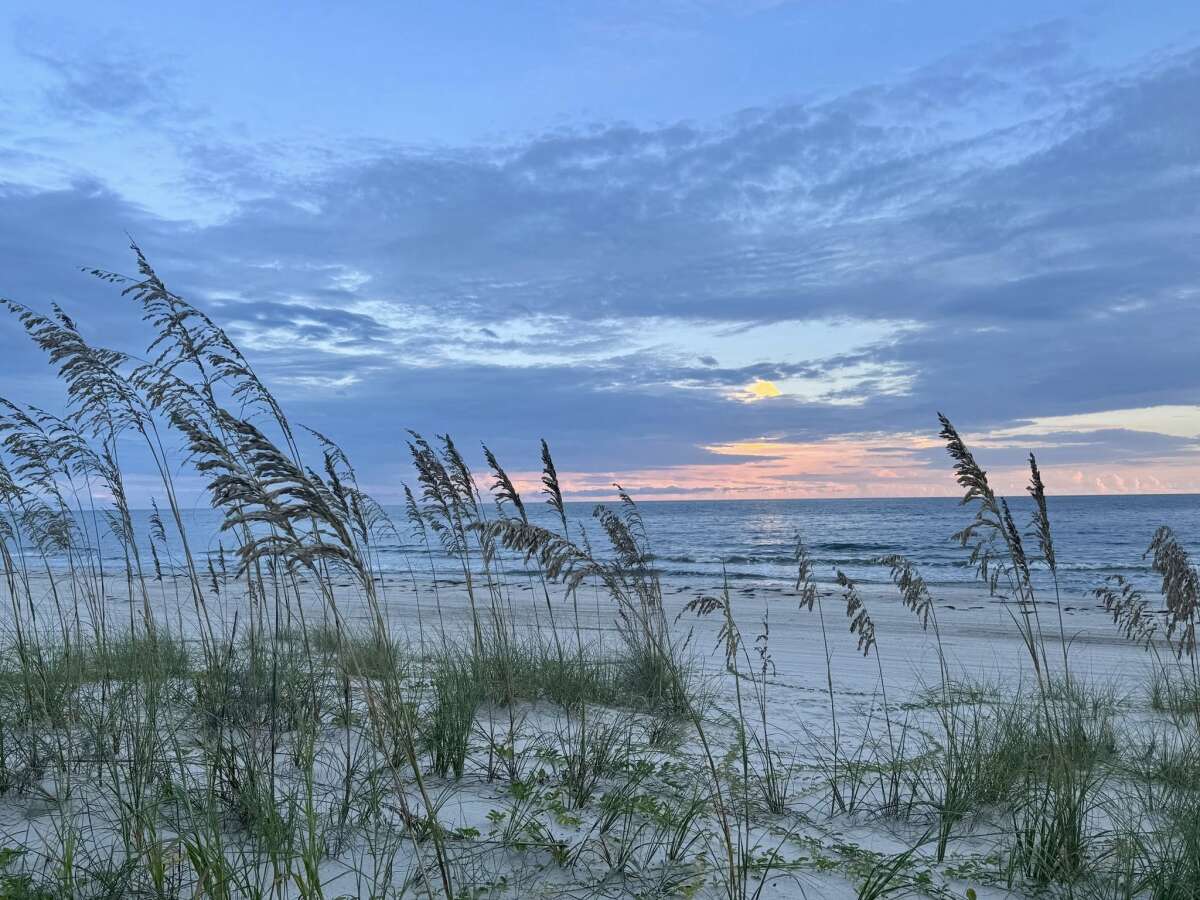 Indian Pass Beach Florida along the Forgotten Coast