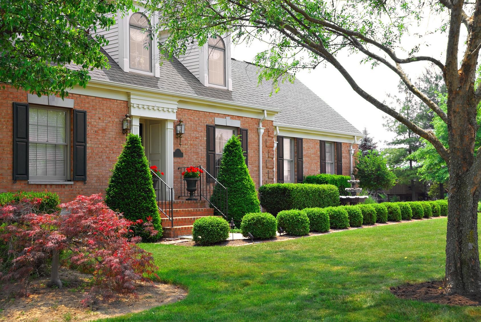 Kirkwood Missouri Vacation Rental | Pest Control